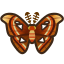 Attacus Atlas - Animal Crossing : New Horizons (Switch) [ACNH]